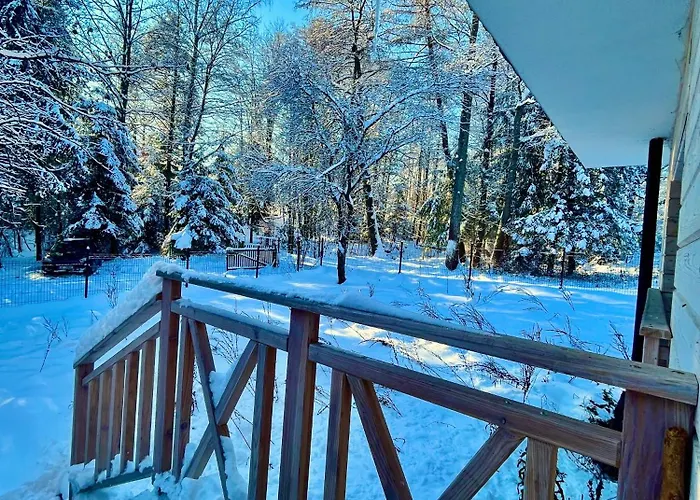 Corvo Bianco Sidzina